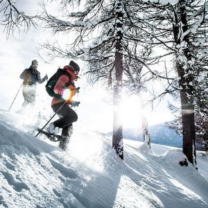 Berg- & Schneeschuhwandern in Seefeld in Tirol